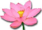 Spiritual Healing in Cambridge - Michelle Bernard